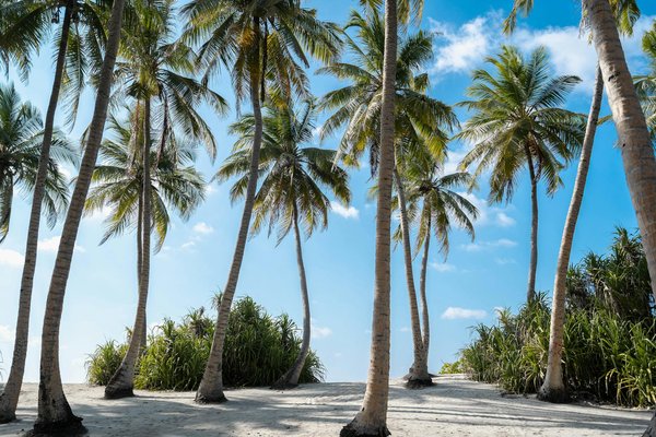 Louer un gîte : Quels sont les équipements essentiels ?