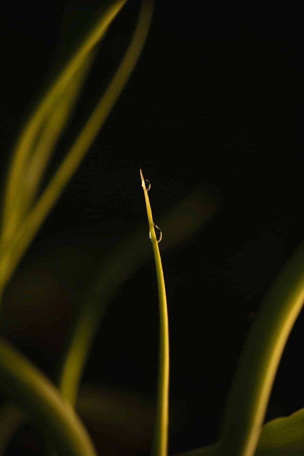 Les bienfaits du camping familial sur la santé et le bien-être